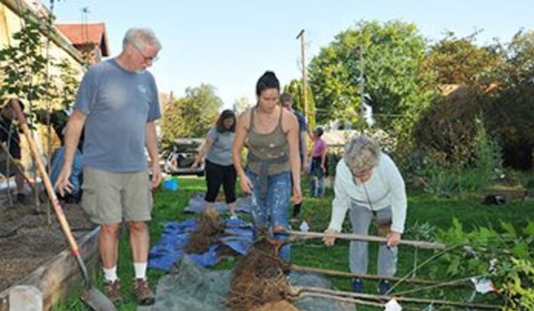 Met Council Invests $2.5M in Twin Cities' Greening, Thousands of Trees to be Planted, Hazardous Ones Removed