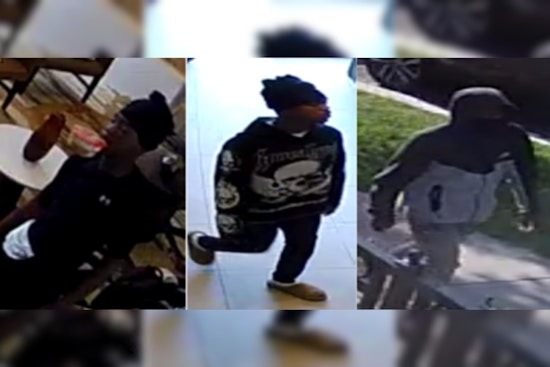 Metropolitan Police Seek Public's Help to Identify Suspects in Armed Robbery on L Street Southeast