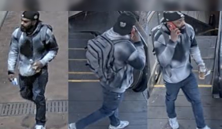 Metropolitan Police Solicit Tips with $1,000 Reward for Northwest Burglary Suspect Identification