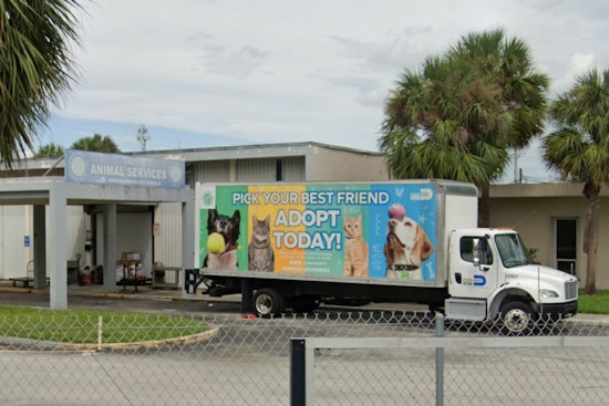 Miami-Dade Shelter Dog's Death Amid Heatwave Sparks Concern Over Animal Conditions