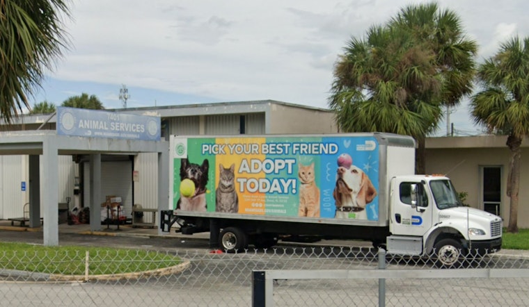 Miami-Dade Shelter Dog's Death Amid Heatwave Sparks Concern Over Animal Conditions