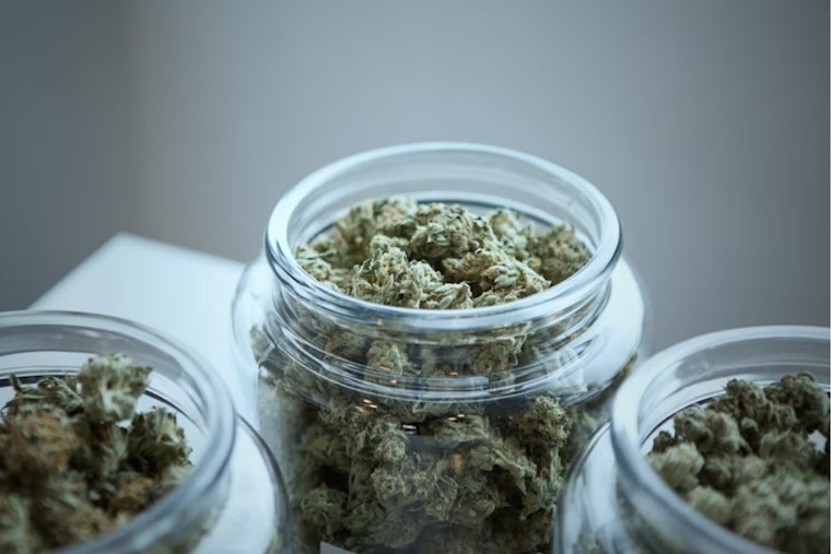 Michigan AG Nessel Joins Bipartisan Push for Federal Cannabis Banking Reform with SAFER Banking Act of 2025