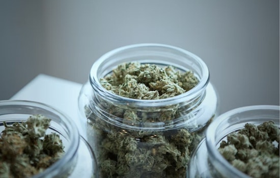 Michigan AG Nessel Joins Bipartisan Push for Federal Cannabis Banking Reform with SAFER Banking Act of 2025