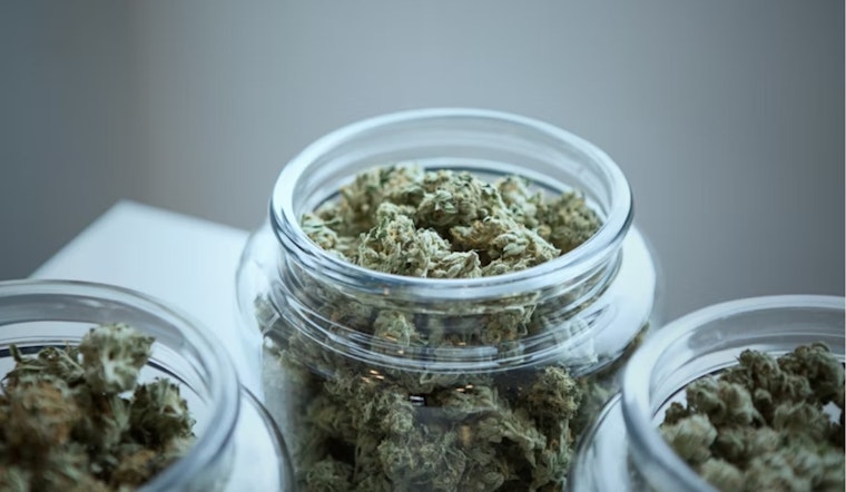 Michigan AG Nessel Joins Bipartisan Push for Federal Cannabis Banking Reform with SAFER Banking Act of 2025
