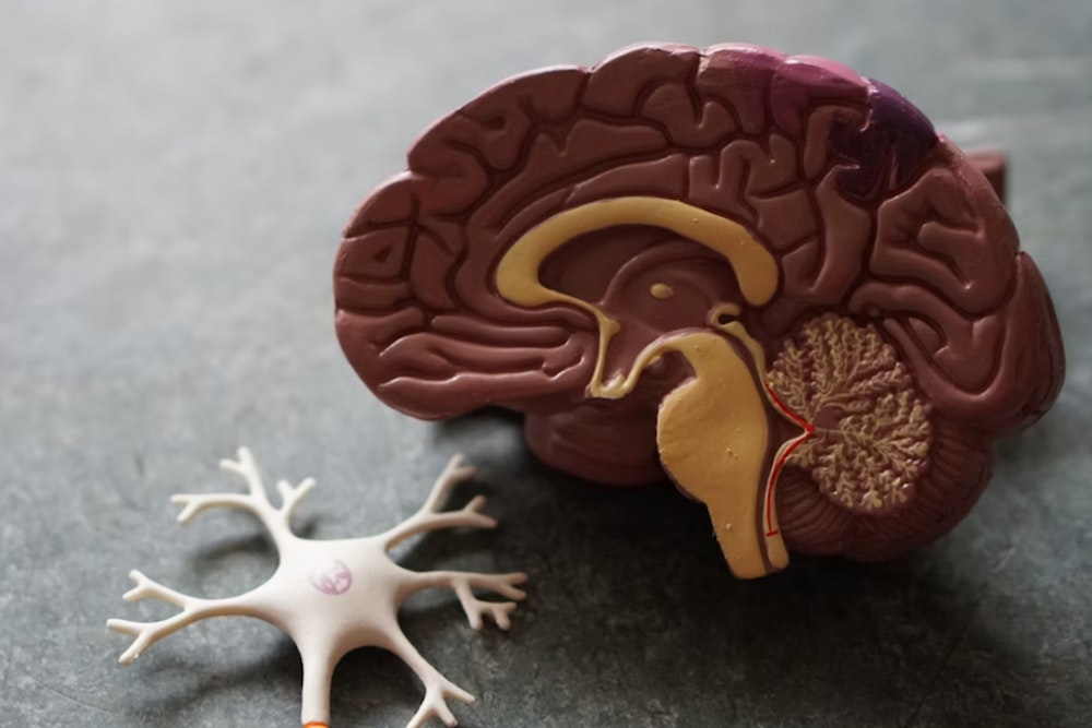 Michigan's Corewell Health Introduces Revolutionary Non-Invasive Brain Surgery for Tremor Relief