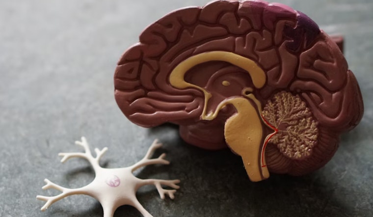 Michigan's Corewell Health Introduces Revolutionary Non-Invasive Brain Surgery for Tremor Relief
