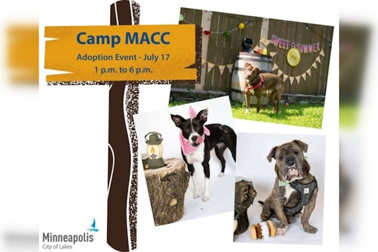 Minneapolis "Camp MACC" Adoption Event Offers Fee-Free Pet Adoptions This Thursday