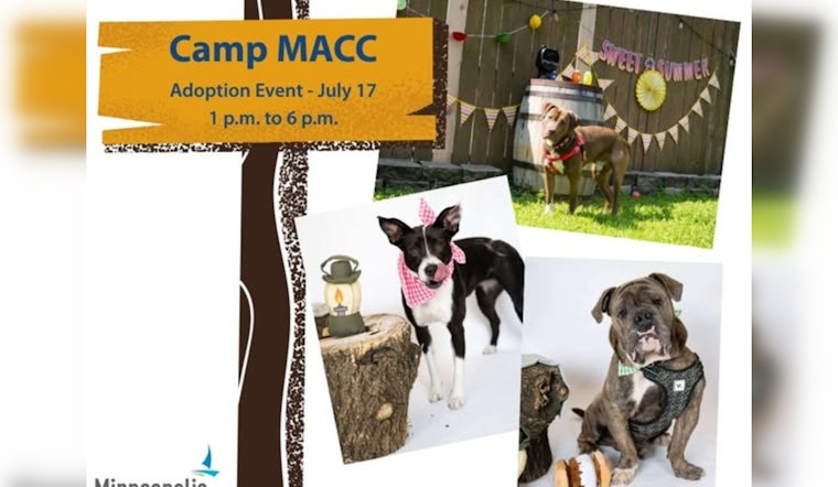 Minneapolis "Camp MACC" Adoption Event Offers Fee-Free Pet Adoptions This Thursday