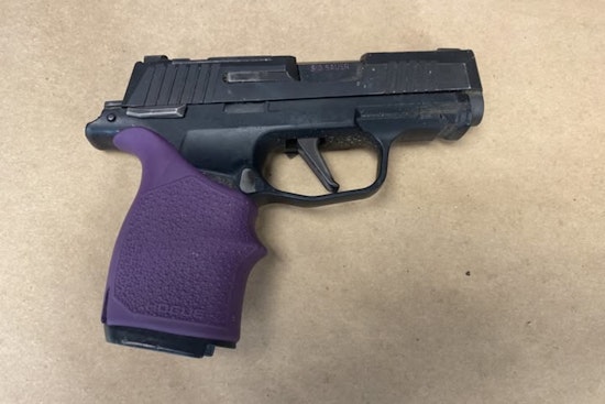 Minneapolis Police Advocate for Enhanced Gun Safety as Thefts from Vehicles Surge