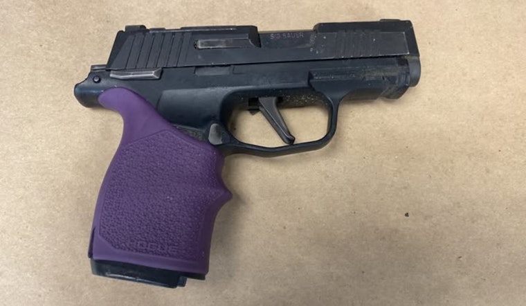 Minneapolis Police Advocate for Enhanced Gun Safety as Thefts from Vehicles Surge