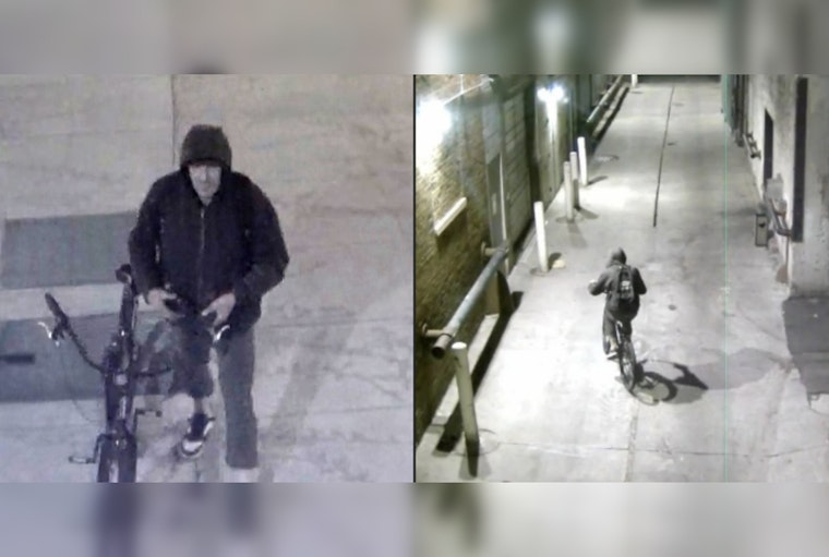 Minneapolis Police Seek Public's Help in Unsolved Downtown Assault Fatality Case