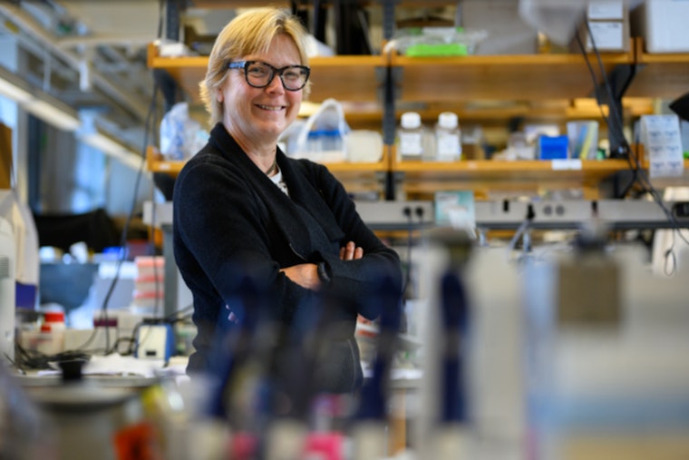 MIT Launches $10 Million Fairbairn Menstruation Science Fund to Advance Women's Health Research