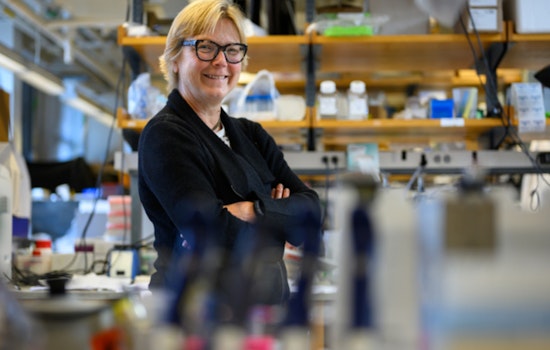 MIT Launches $10 Million Fairbairn Menstruation Science Fund to Advance Women's Health Research