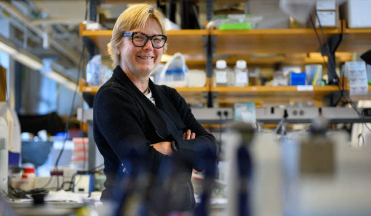 MIT Launches $10 Million Fairbairn Menstruation Science Fund to Advance Women's Health Research