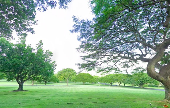 Moderate Trade Winds and Stable Weather Dominate Honolulu Scene Before Weekend Shift, NWS Advises