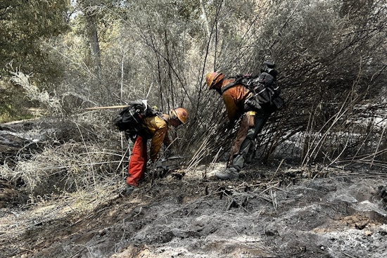 Monarch Fire Near Wickenburg Now 50% Contained, Authorities Cite Progress as Evacuation Status Downgrades