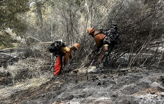 Monarch Fire Near Wickenburg Now 50% Contained, Authorities Cite Progress as Evacuation Status Downgrades