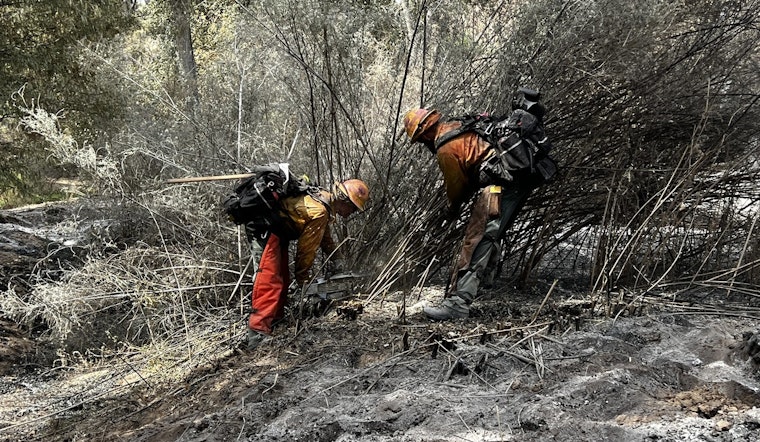 Monarch Fire Near Wickenburg Now 50% Contained, Authorities Cite Progress as Evacuation Status Downgrades