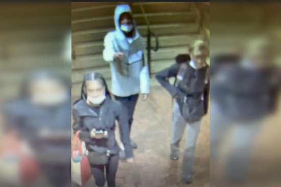 Montgomery County Police Seek  Help to Identify Suspects in Attempted Rockville Pike Carjacking