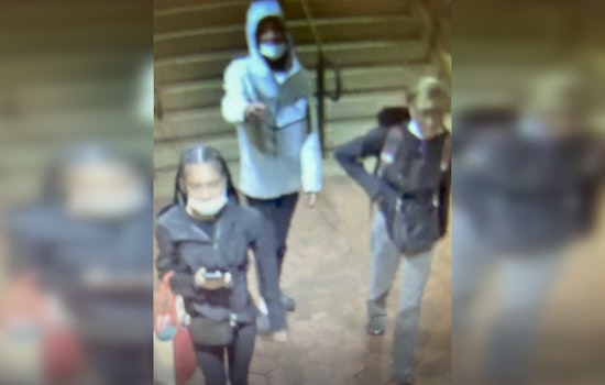 Montgomery County Police Seek Help to Identify Suspects in Attempted Rockville Pike Carjacking