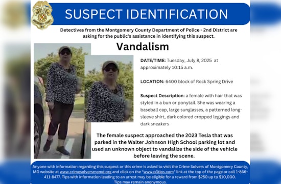 Montgomery County Police Seek Public's Help to Identify Suspect in Rock Spring Drive Vandalism Case