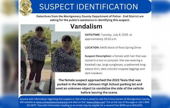 Montgomery County Police Seek Public's Help to Identify Suspect in Rock Spring Drive Vandalism Case
