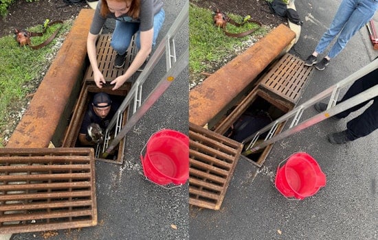 Montgomery Firefighter Lauded for Rescuing Kitten from Sewer, Reuniting Beloved Pet with Local Family