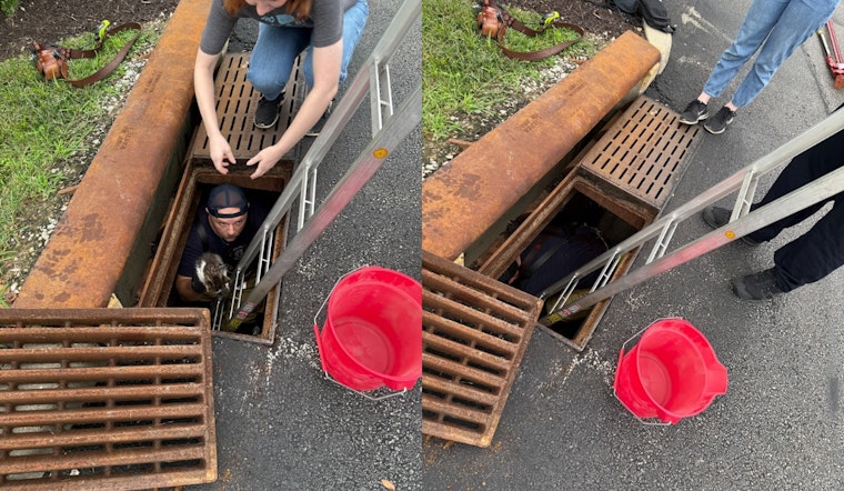 Montgomery Firefighter Lauded for Rescuing Kitten from Sewer Montgomery Firefighter Lauded for Rescuing Kitten from Sewer