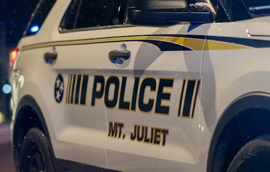Nashville Man Accused of $5,000 Theft Spree Arrested at Mt. Juliet Walmart