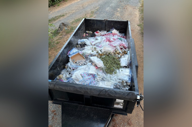 Nevada County and California Fish and Wildlife Agencies Join Forces to Combat Illegal Cannabis Farms
