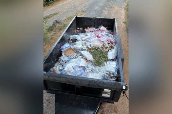 Nevada County and California Fish and Wildlife Agencies Join Forces to Combat Illegal Cannabis Farms