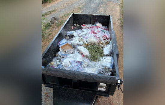Nevada County and California Fish and Wildlife Agencies Join Forces to Combat Illegal Cannabis Farms