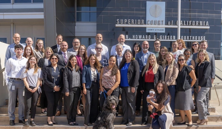 New Comfort Dog Toast Joins Placer County District Attorney's Office to Support Victims of Crime