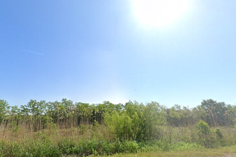 New Orleans Braces for Week of Sunshine and Thunderstorms, NWS Reports Highs Near 90s