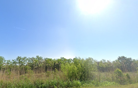 New Orleans Braces for Week of Sunshine and Thunderstorms, NWS Reports Highs Near 90s