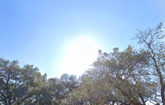 New Orleans Faces Severe Heat Wave as Heat Index Climbs to 110 Degrees