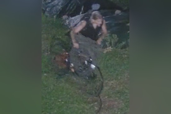 New Orleans Police Seek Community Help to Identify Suspect in Valence Street Business Burglary