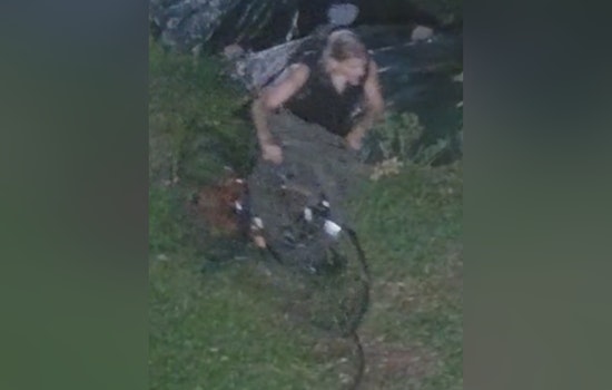 New Orleans Police Seek Community Help to Identify Suspect in Valence Street Business Burglary