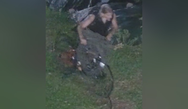 New Orleans Police Seek Community Help to Identify Suspect in Valence Street Business Burglary