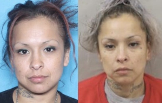 New Orleans Police Seek Public Help to Locate "Baby Girl" Suspected of Aggravated Assault and Parole Violation