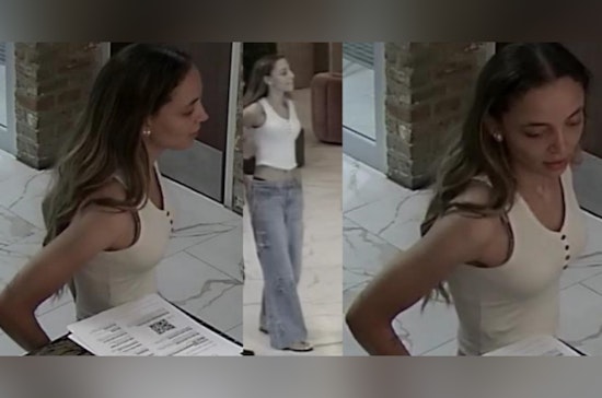 New Orleans Police Seek Public Help to Nab Suspect in Daylight Phone Theft and Fraud Spree on Julia Street