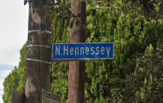 New Orleans Police Seek Public's Aid to Identify Suspect in North Hennessy Street Thefts