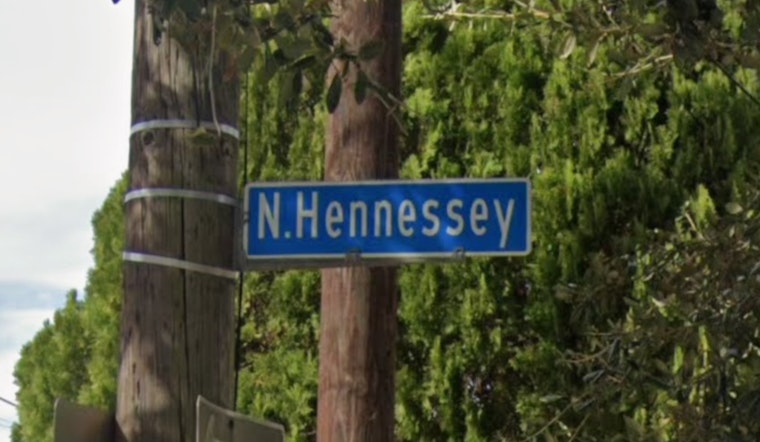 New Orleans Police Seek Public's Aid to Identify Suspect in North Hennessy Street Thefts