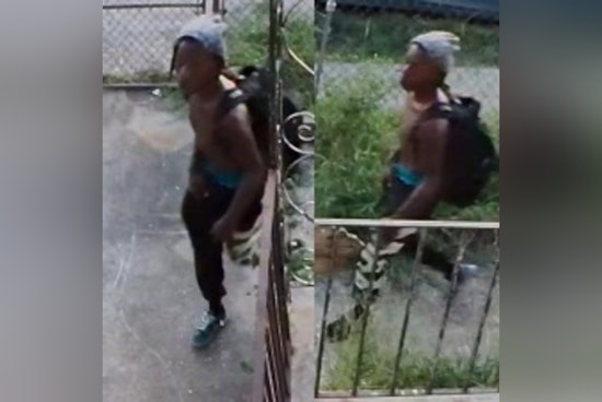 New Orleans Police Seek Public's Help to Apprehend Suspect Wanted for Burglary and Vehicle Theft on Desire Street