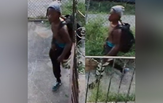 New Orleans Police Seek Public's Help to Apprehend Suspect Wanted for Burglary and Vehicle Theft on Desire Street