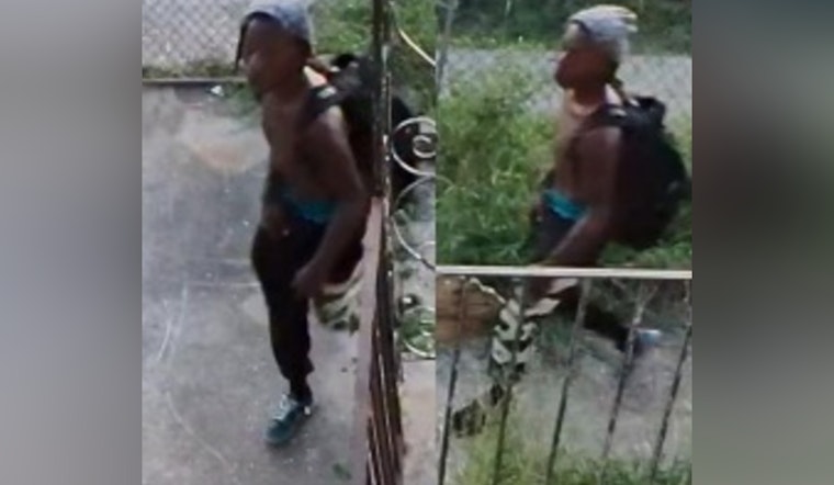 New Orleans Police Seek Public's Help to Apprehend Suspect Wanted for Burglary and Vehicle Theft on Desire Street