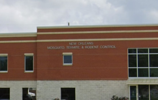 New Orleans Ramps Up Night-Time Mosquito Spraying to Combat Rising West Nile Virus Activity