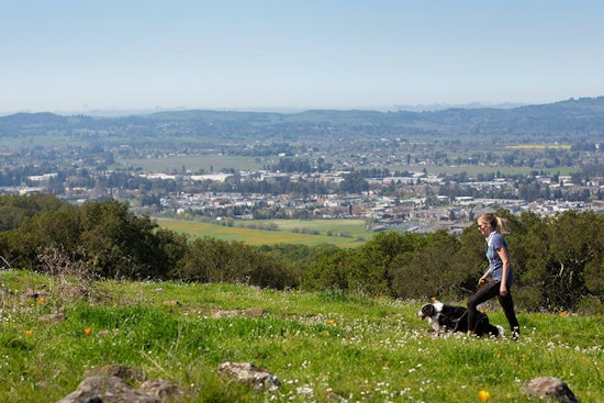 New Trails Unveiled at Taylor Mountain Park Near Santa Rosa, Doubling Recreational Space