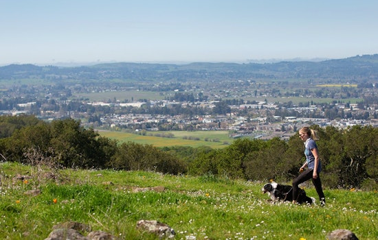 New Trails Unveiled at Taylor Mountain Park Near Santa Rosa, Doubling Recreational Space