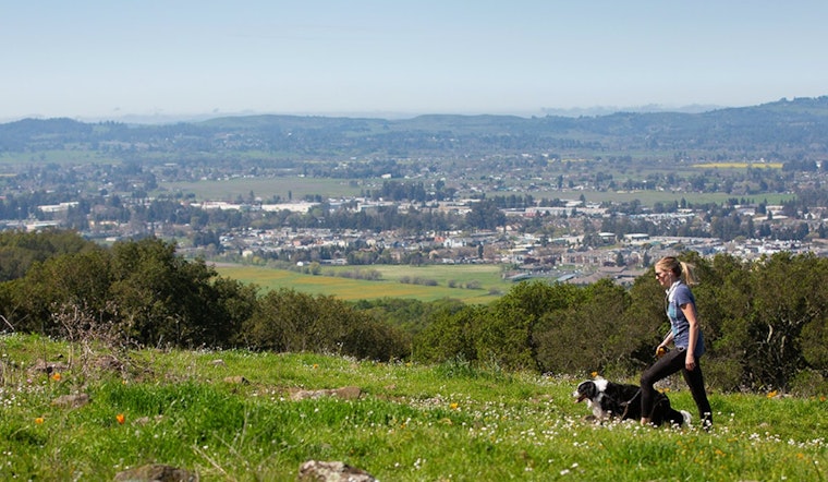 New Trails Unveiled at Taylor Mountain Park Near Santa Rosa, Doubling Recreational Space